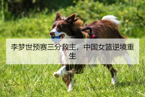 李梦世预赛三分救主，中国女篮逆境重生